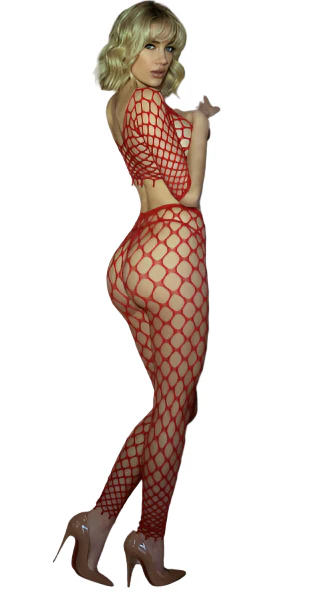Pot Hole Net Top and Pantyhose Set Red - Image 2