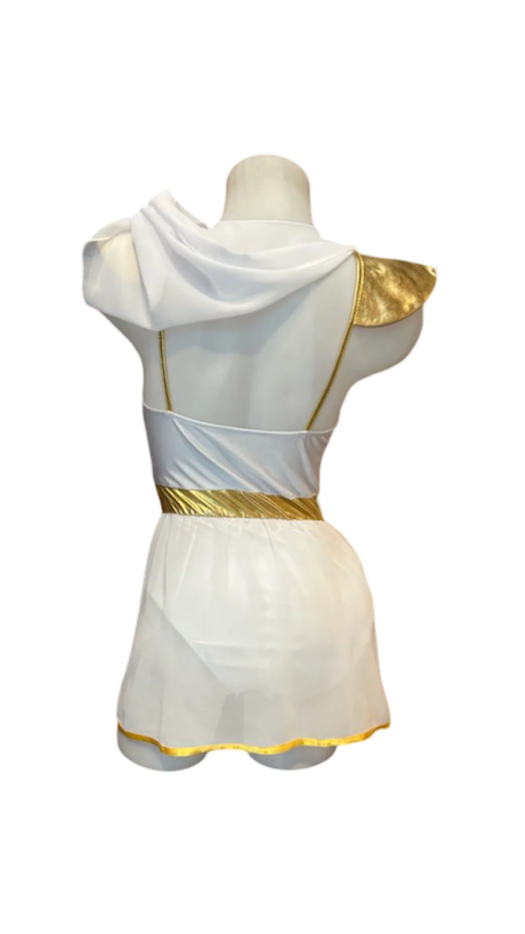 Roman Goddess Costume - Image 2